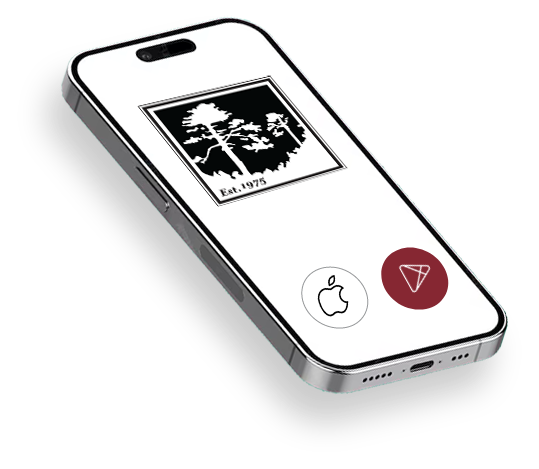 Mobile phone